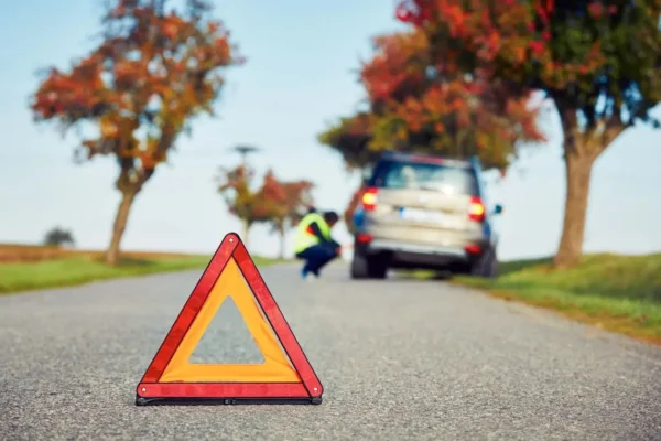 A red and yellow triangle on the side of a road.